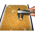 Canned Chick peas in brine 400g